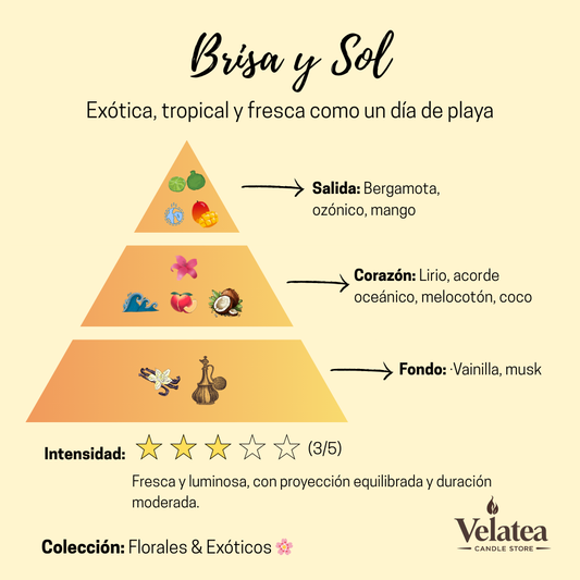 Pirámide olfativa de la fragancia Brisa y Sol de Velatea, aroma tropical y fresco con bergamota, mango, coco y vainilla.