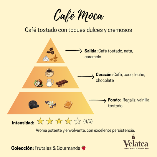 Pirámide olfativa de la fragancia Café Moca de Velatea, aroma gourmet con café tostado, chocolate, vainilla y notas cremosas.