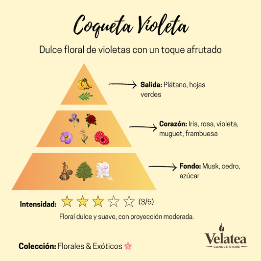 Pirámide olfativa de la fragancia Coqueta Violeta de Velatea, aroma floral dulce con iris, rosa, violeta y un toque afrutado de frambuesa.