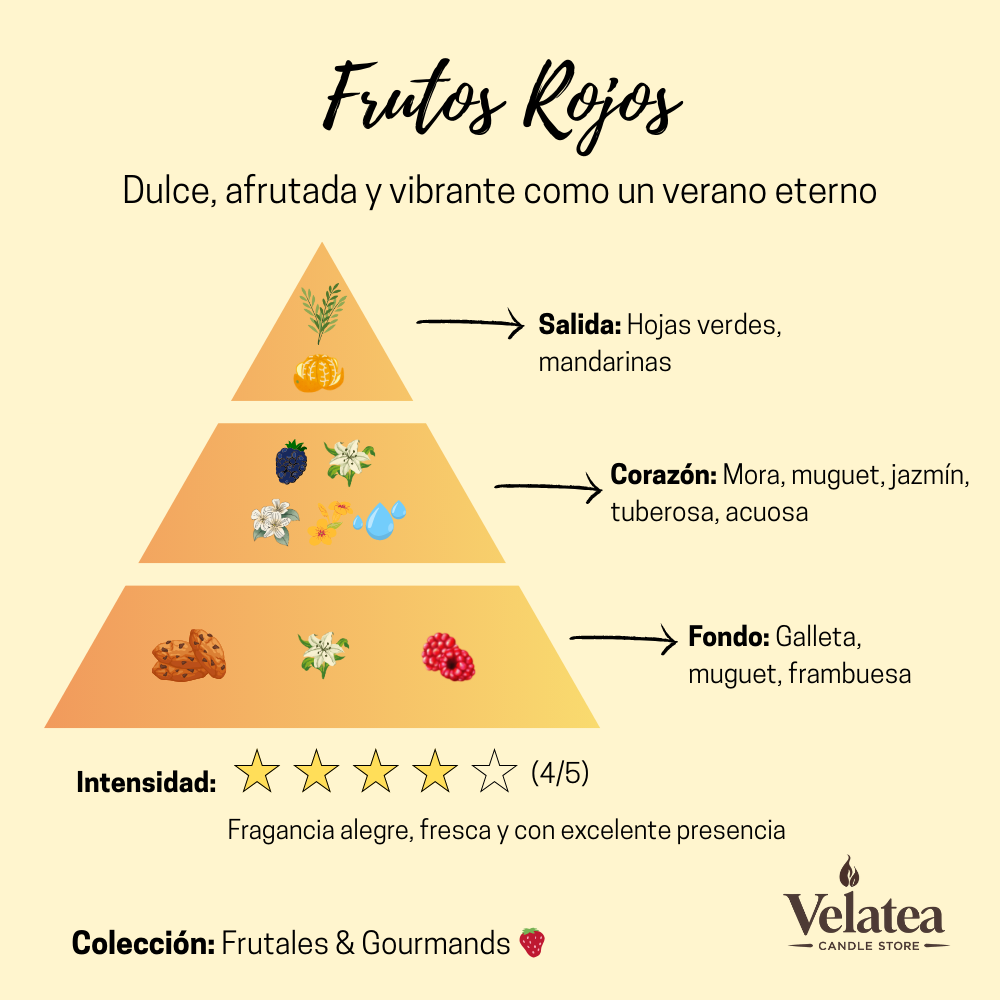 Pirámide olfativa de la fragancia Frutos Rojos de Velatea, aroma afrutado y vibrante con mora, frambuesa, jazmín y notas dulces.
