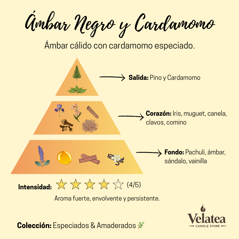 Pirámide olfativa de la fragancia Ámbar Negro y Cardamomo de Velatea, aroma cálido con especias y maderas nobles.
