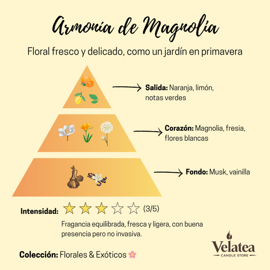 Pirámide olfativa de la fragancia Armonía de Magnolia de Velatea, aroma floral fresco y delicado con magnolia y fresia.