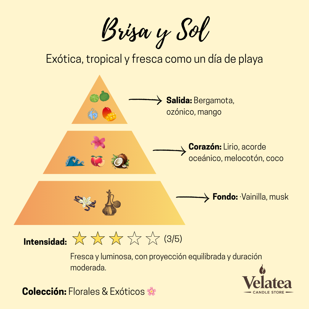 Pirámide olfativa de la fragancia Brisa y Sol de Velatea, aroma tropical y fresco con bergamota, mango, coco y vainilla.