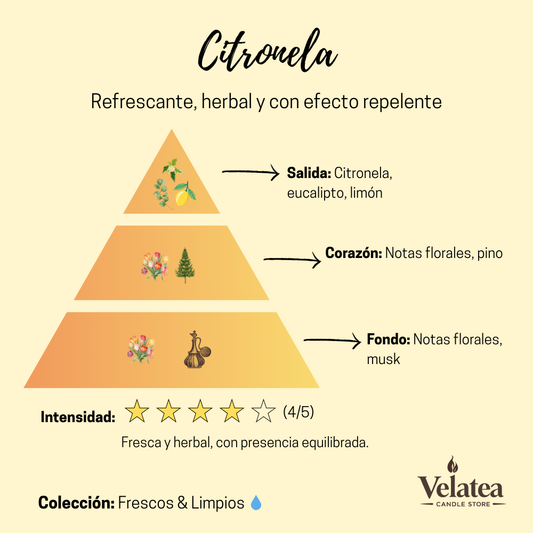 Pirámide olfativa de la fragancia Citronela de Velatea, aroma herbal y cítrico con limón, eucalipto y notas florales, con efecto repelente natural.