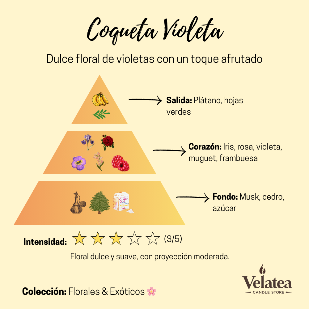 Pirámide olfativa de la fragancia Coqueta Violeta de Velatea, aroma floral dulce con iris, rosa, violeta y un toque afrutado de frambuesa.