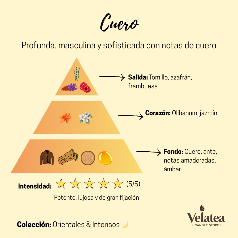 Pirámide olfativa de la fragancia Cuero de Velatea, aroma masculino y sofisticado con notas de cuero, ámbar, jazmín y maderas.