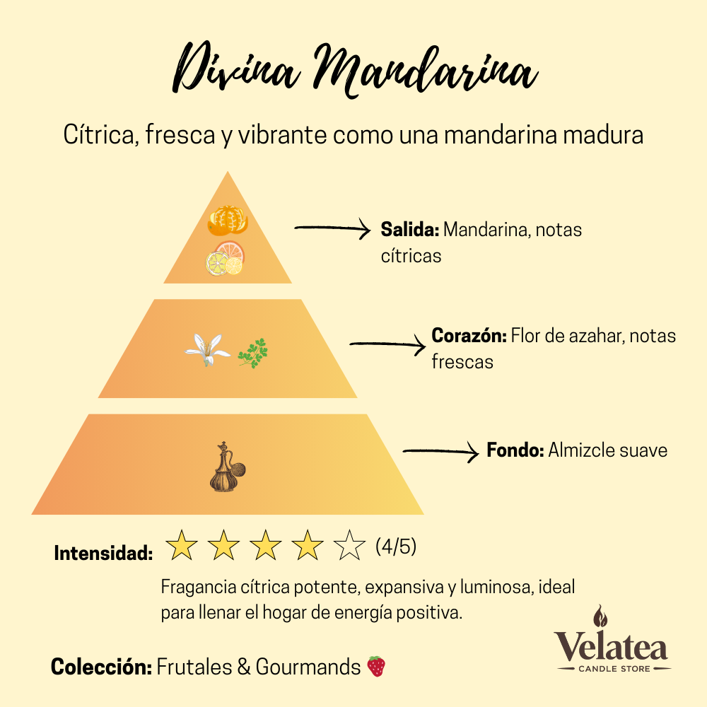 Pirámide olfativa de la fragancia Divina Mandarina de Velatea, aroma cítrico y fresco con mandarina, flor de azahar y almizcle suave.