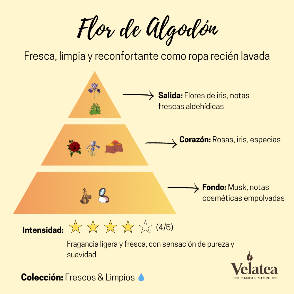 Pirámide olfativa de la fragancia Flor de Algodón de Velatea, aroma fresco y limpio con iris, rosas y notas empolvadas que recuerdan a ropa recién lavada.