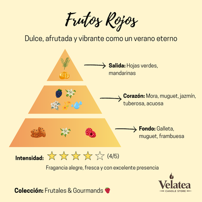 Pirámide olfativa de la fragancia Frutos Rojos de Velatea, aroma afrutado y vibrante con mora, frambuesa, jazmín y notas dulces.