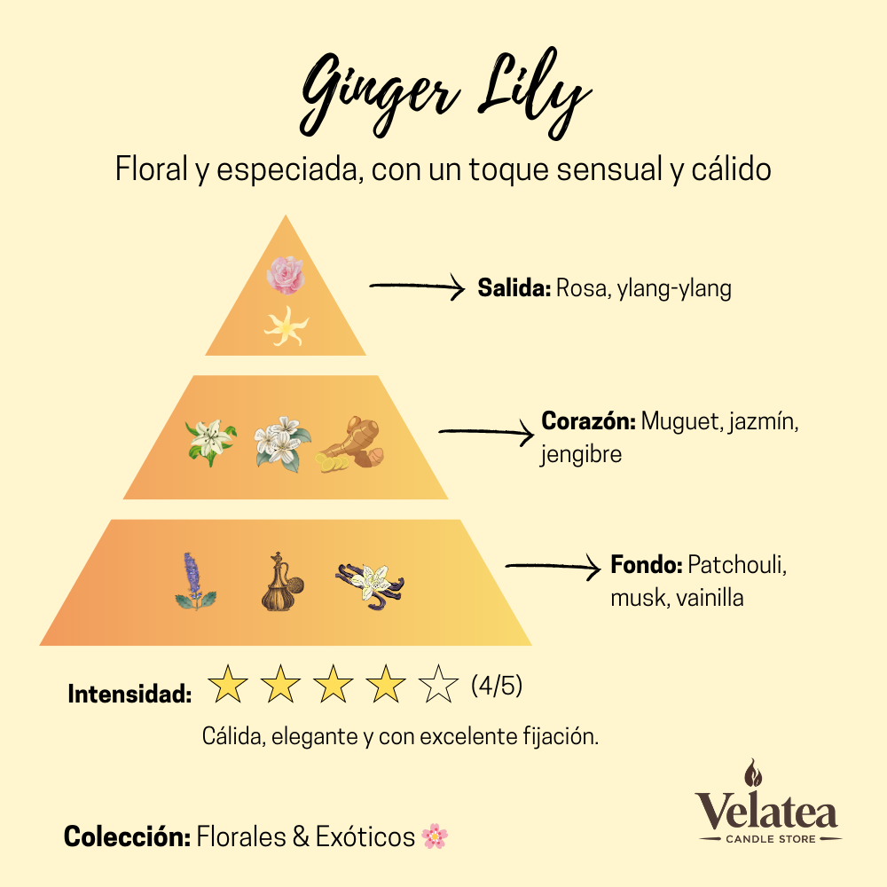 Pirámide olfativa de la fragancia Ginger Lily de Velatea, aroma floral especiado con rosa, jazmín, jengibre y notas cálidas de vainilla y musk.