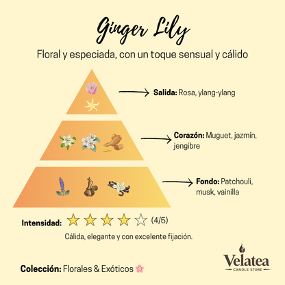 Pirámide olfativa de la fragancia Ginger Lily de Velatea, aroma floral especiado con rosa, jazmín, jengibre y notas cálidas de vainilla y musk.