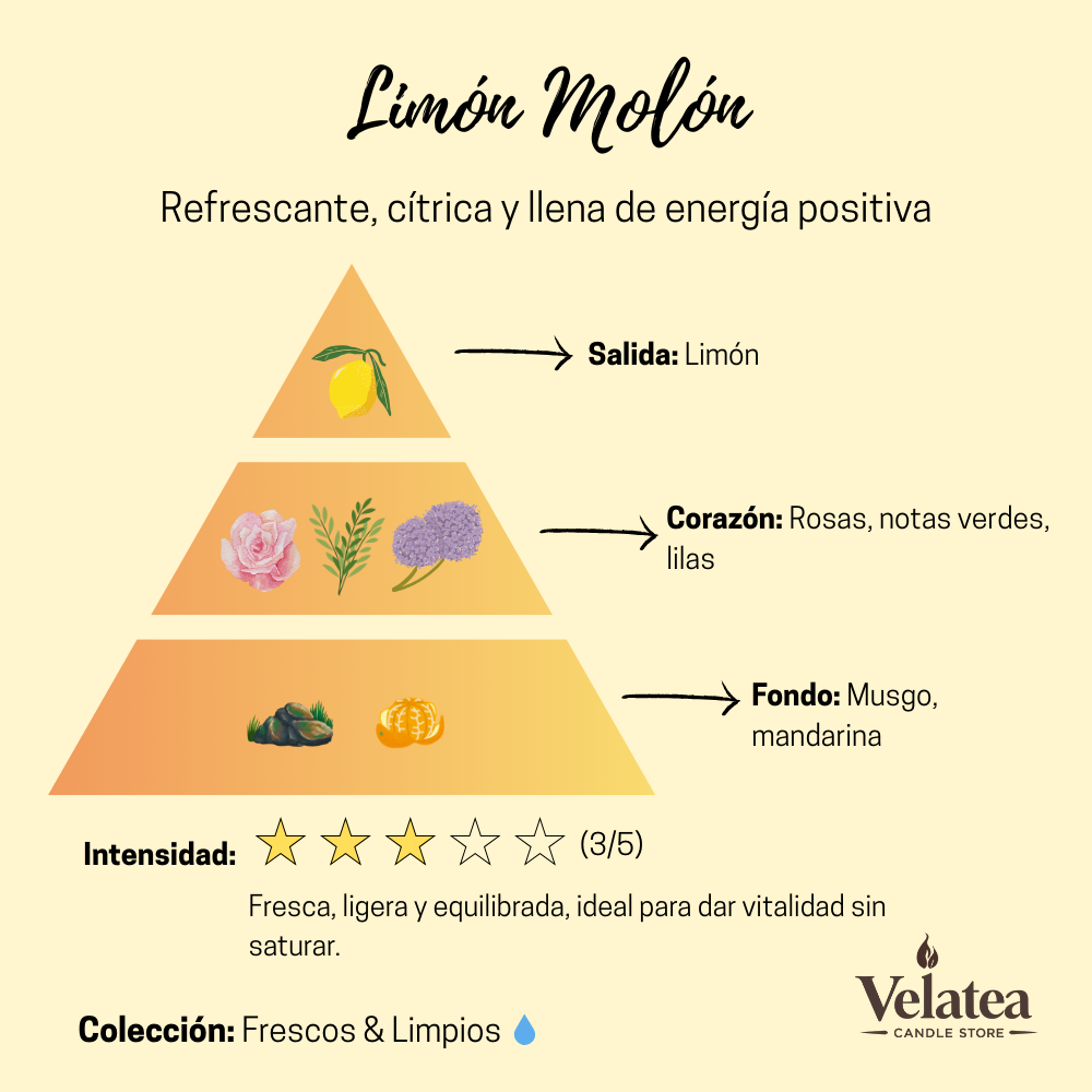 Pirámide olfativa de la fragancia Limón Molón de Velatea, aroma fresco y cítrico con limón, lilas, rosas y musgo.