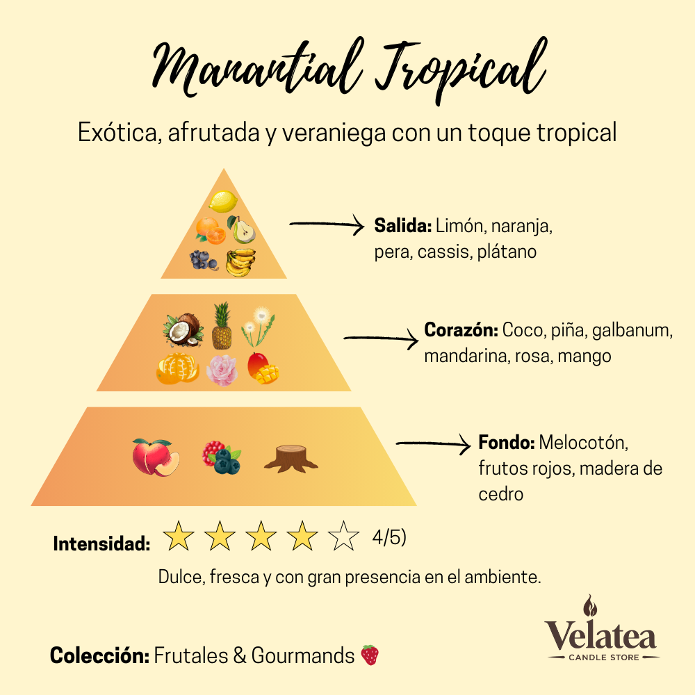 Pirámide olfativa de la fragancia Manantial Tropical de Velatea, aroma tropical y frutal con mango, coco, piña y frutos rojos.