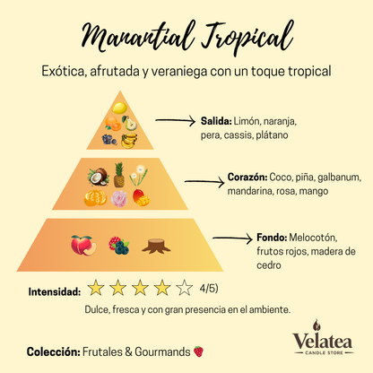 Pirámide olfativa de la fragancia Manantial Tropical de Velatea, aroma tropical y frutal con mango, coco, piña y frutos rojos.