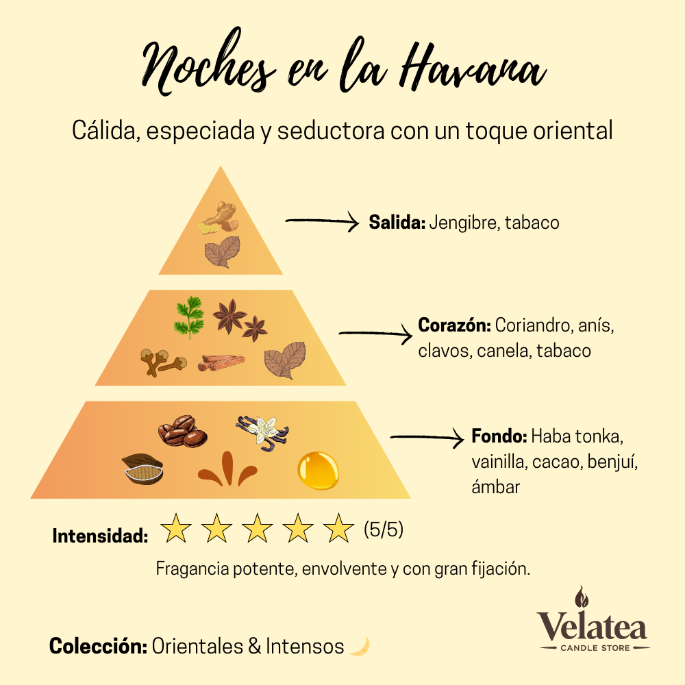 Pirámide olfativa de la fragancia Noches en la Havana de Velatea, aroma cálido y oriental con tabaco, cacao, vainilla y especias.