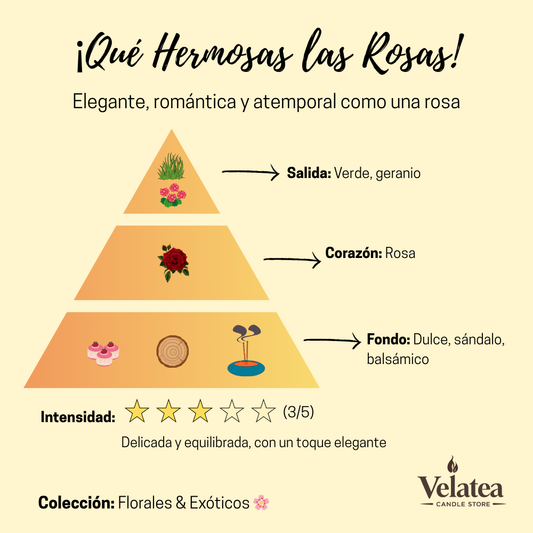 Pirámide olfativa de la fragancia ¡Qué Hermosas las Rosas! de Velatea, aroma floral elegante y romántico con rosa, sándalo y notas dulces.