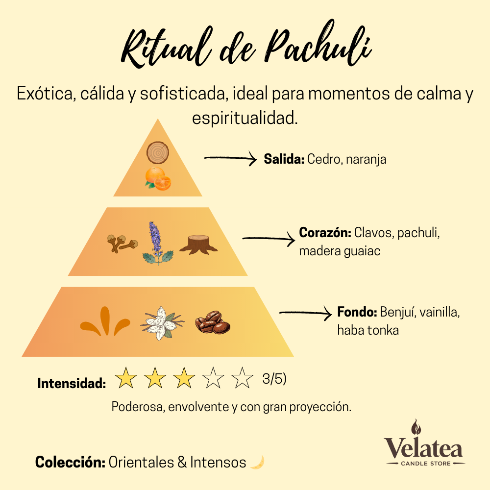 Pirámide olfativa de la fragancia Ritual de Pachuli de Velatea, aroma cálido y terroso con pachuli, clavo, vainilla y maderas.