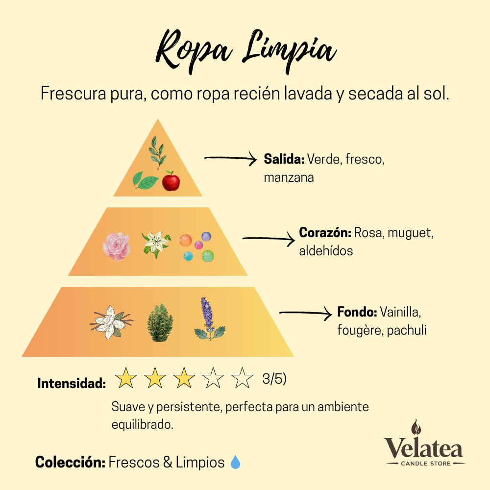 Pirámide olfativa de la fragancia Ropa Limpia de Velatea, aroma fresco y limpio con notas verdes, manzana, rosas, muguet y vainilla.