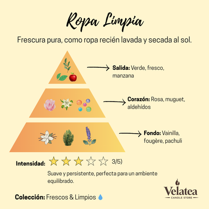 Pirámide olfativa de la fragancia Ropa Limpia de Velatea, aroma fresco y limpio con notas verdes, manzana, rosas, muguet y vainilla.