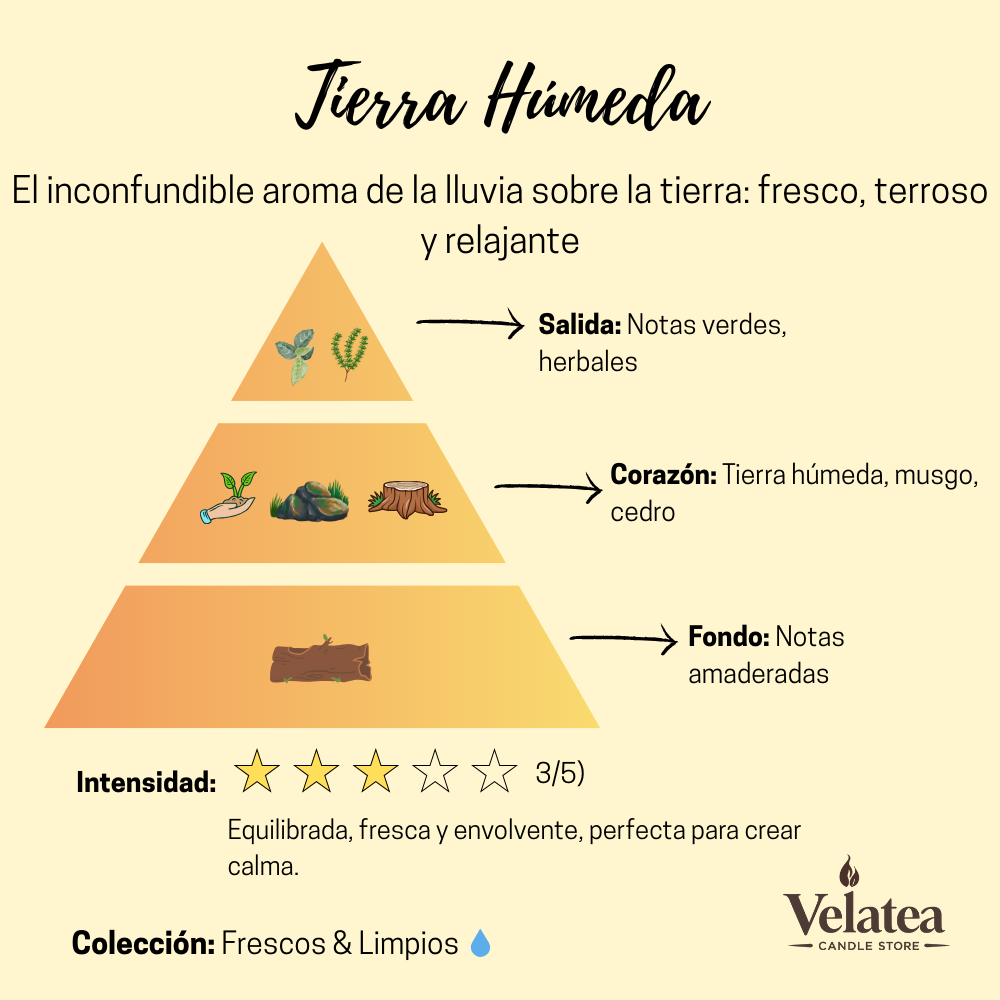 Pirámide olfativa de la fragancia Tierra Húmeda de Velatea, aroma fresco y natural con notas verdes, musgo, cedro y maderas.