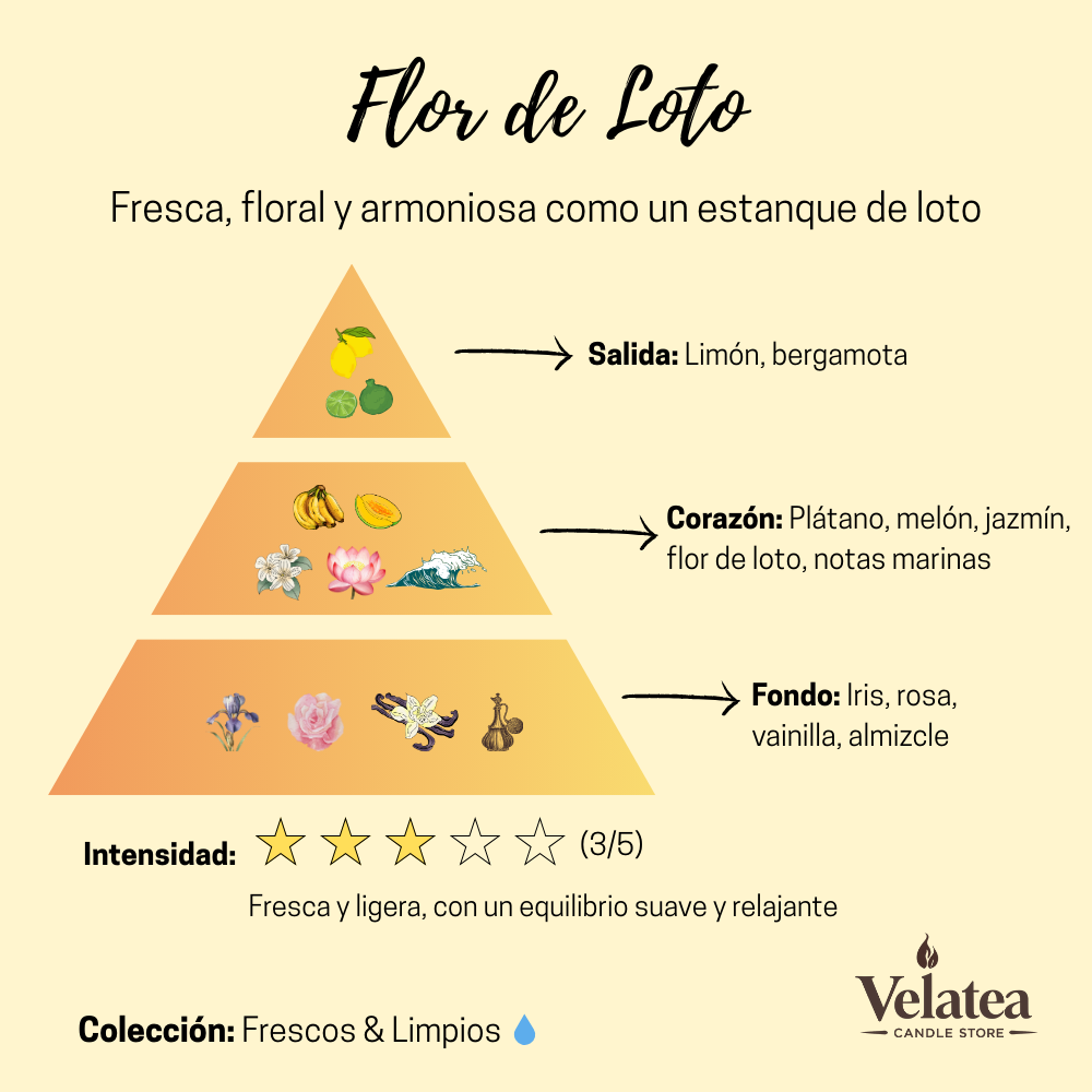 Pirámide olfativa de la fragancia Flor de Loto de Velatea, aroma fresco y floral con limón, jazmín, notas marinas y vainilla.